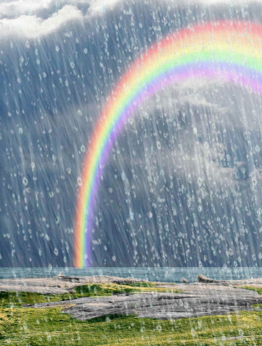 Фото из интернета