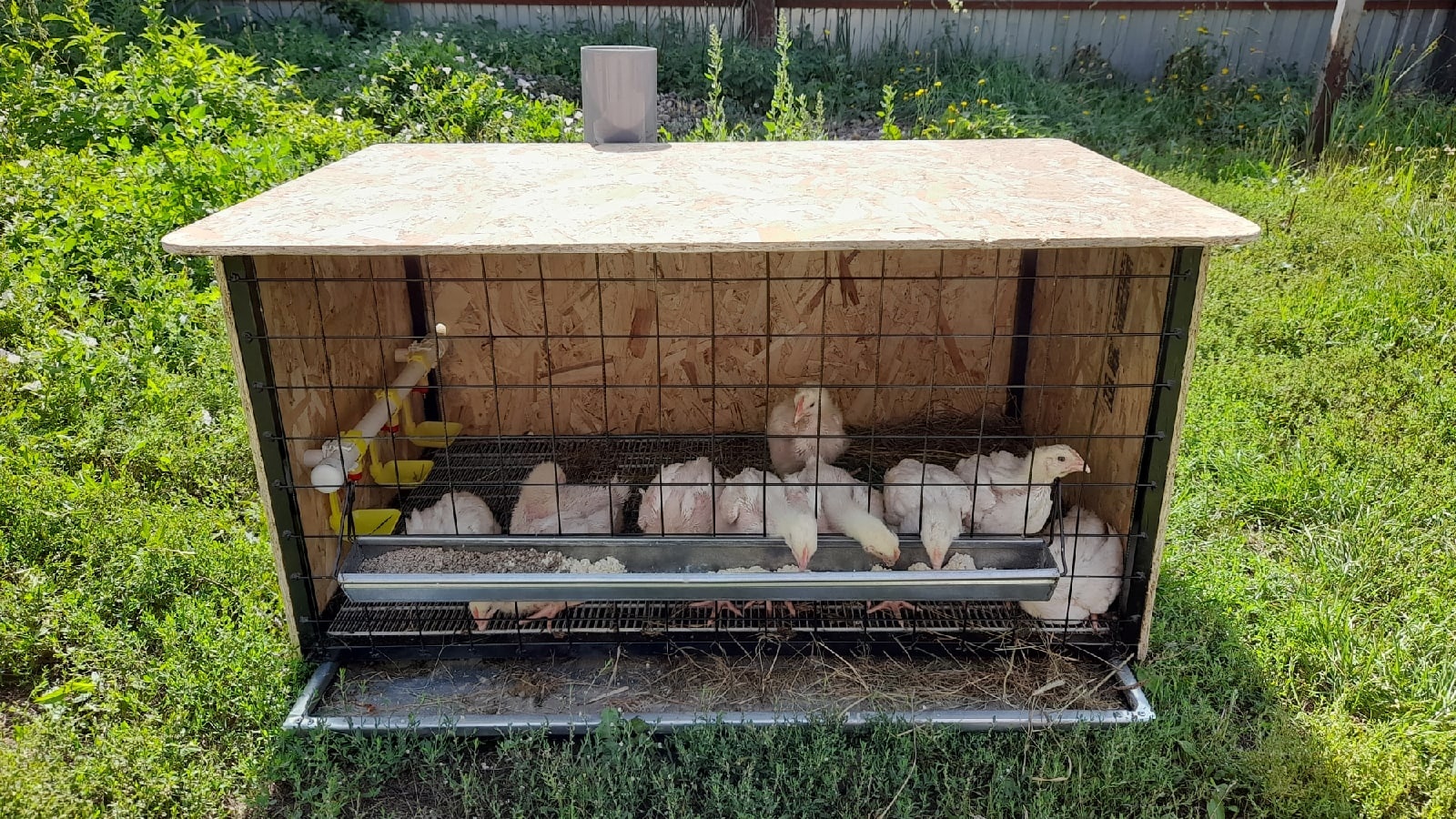 Изготавливаем домик для самых маленьких цыплят