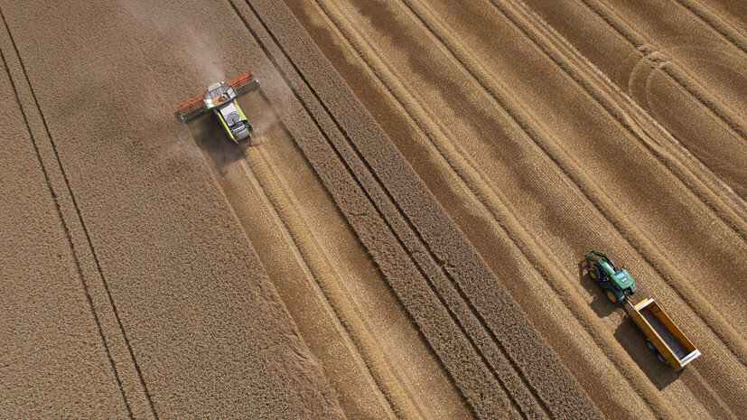   Gettyimages.ru Richard Newstead