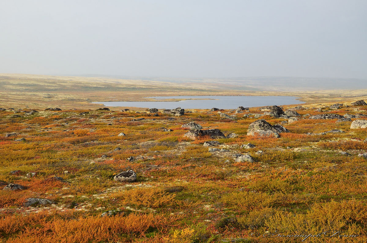 Тундра село Никольское