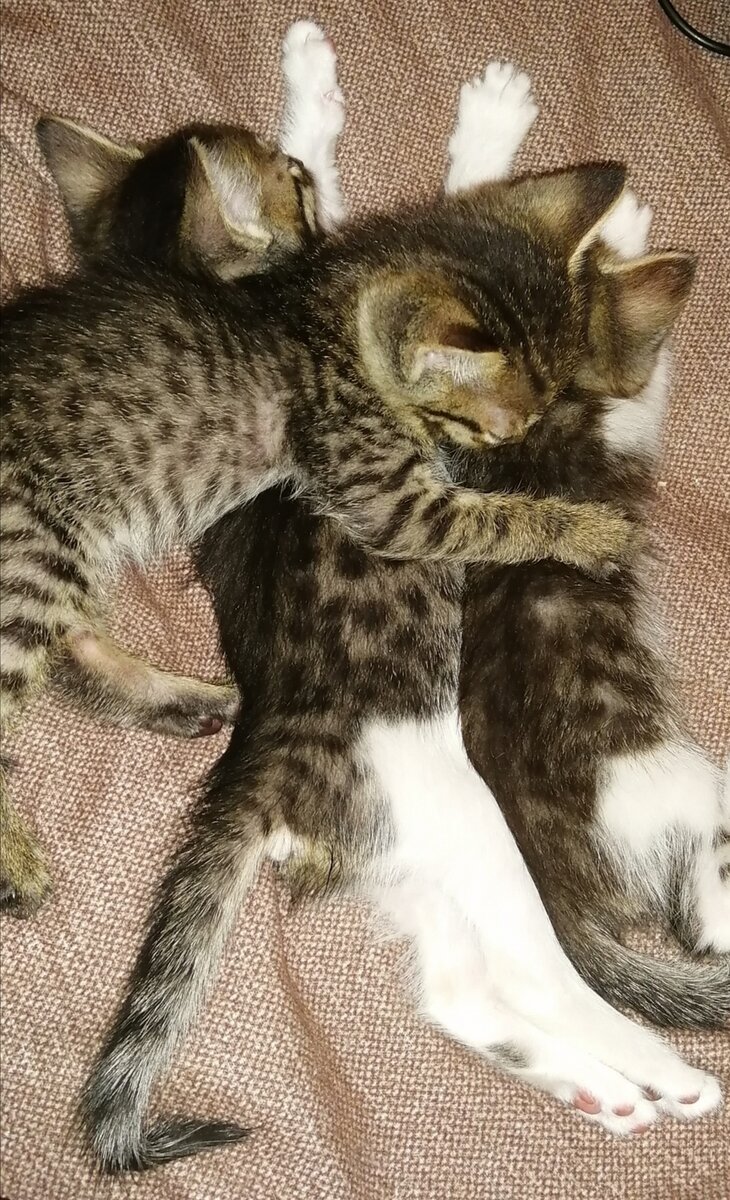 Смотрят фильм 