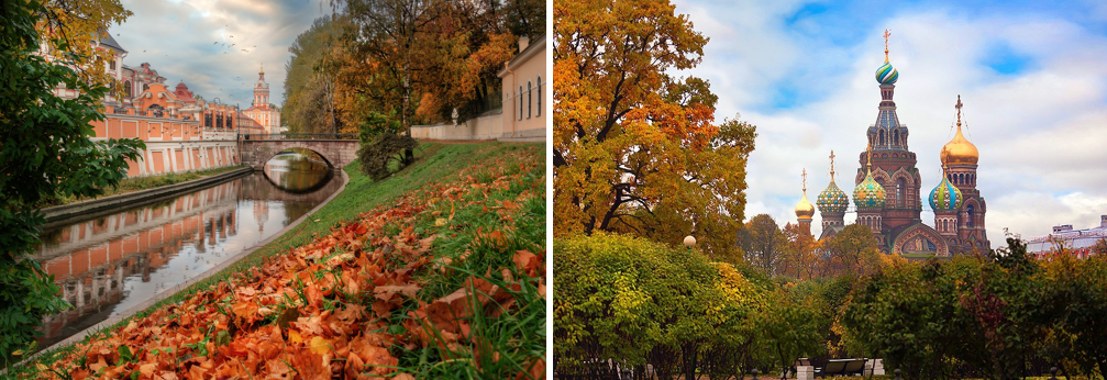 Фото из интернета