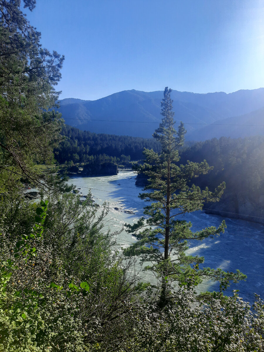 Алтай. Чемал. Остров Патмос.
