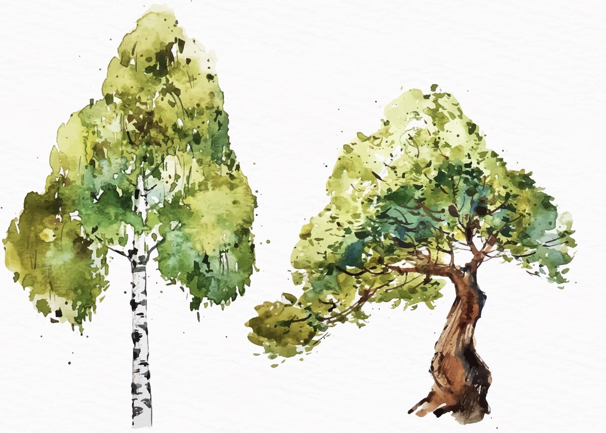 Фото из интернета 