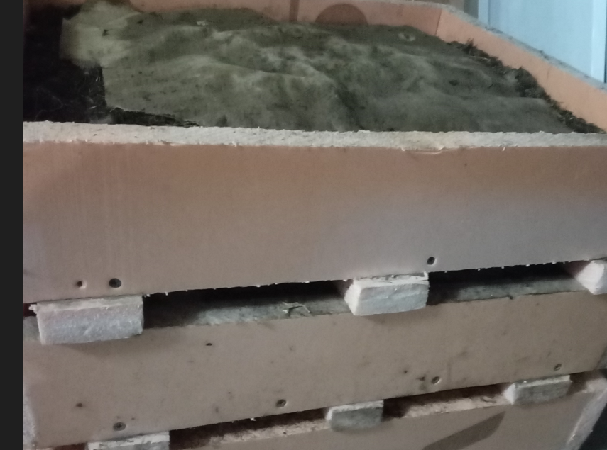 Ящики для содержания червей.