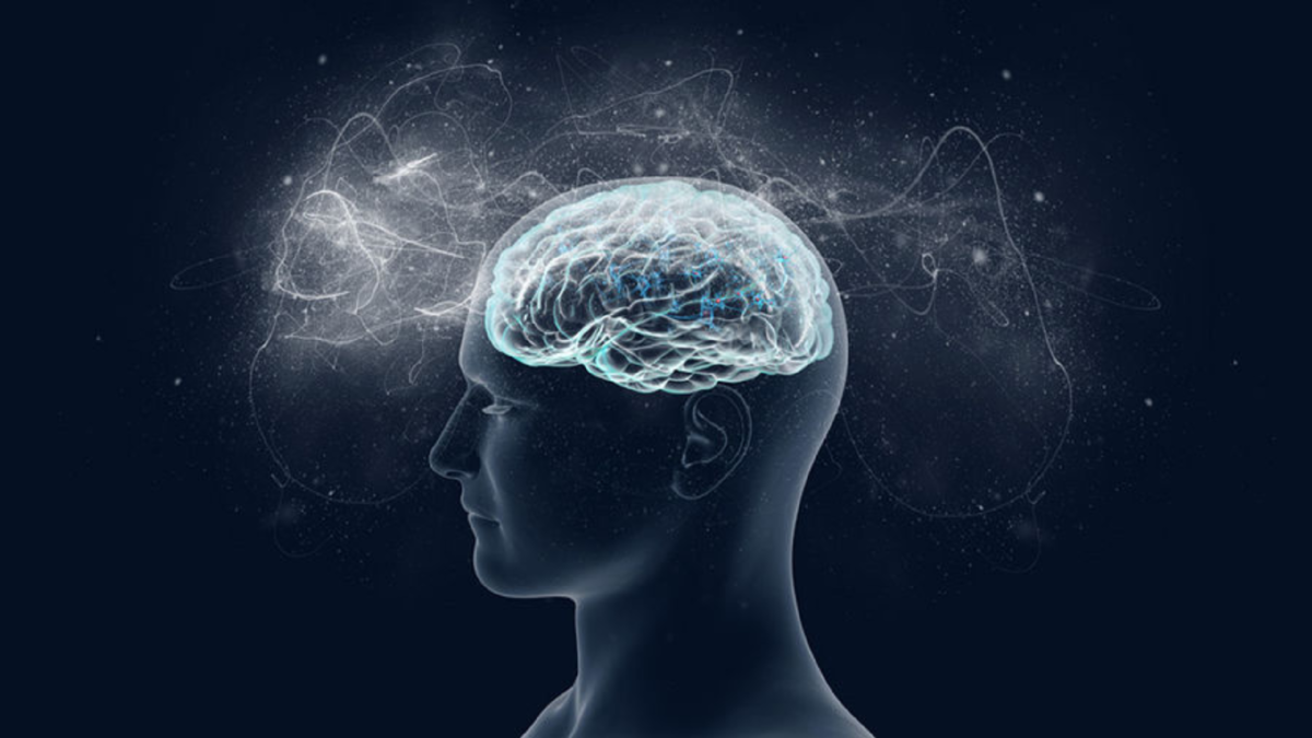Если нервные клетки не восстанавливаются и умирают - что творится в вашей черепной коробке?