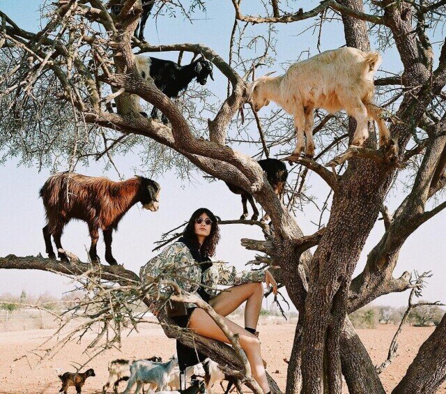 фото Соня Шостак