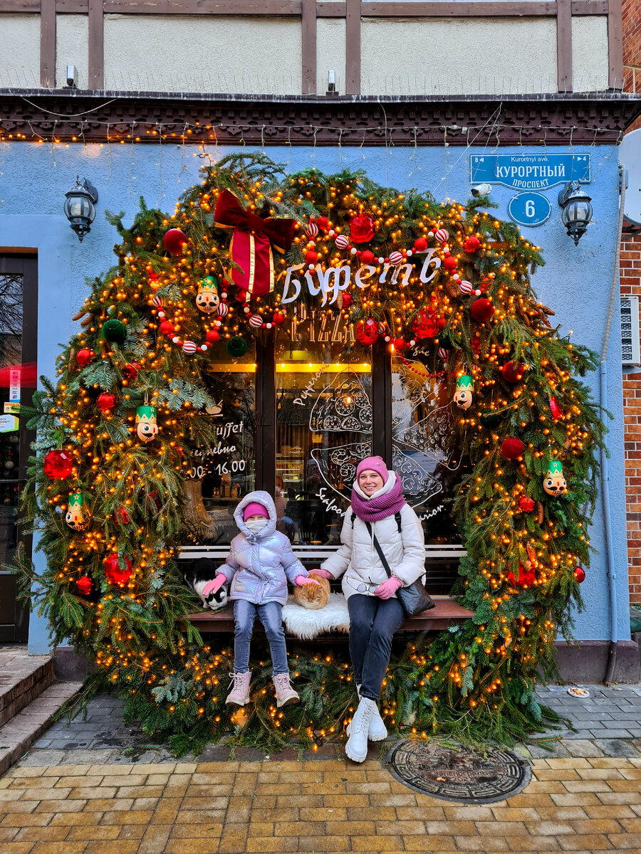 Зеленоградск в НОЯБРЕ. Куршская коса, Танцующий лес, Высота Эфа. |  Katelyn_ok | Дзен