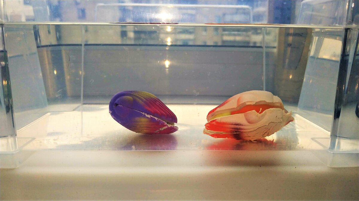 увеличивает опыт