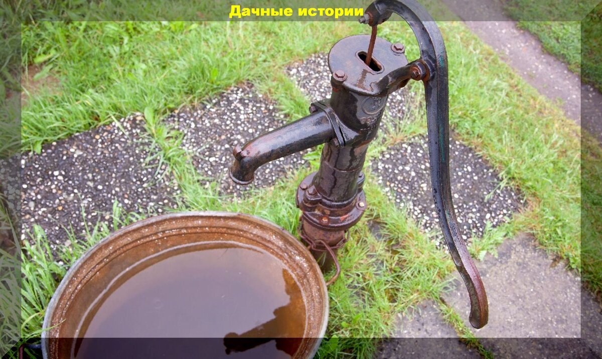 https://vk.com/photo-159774511_456241535