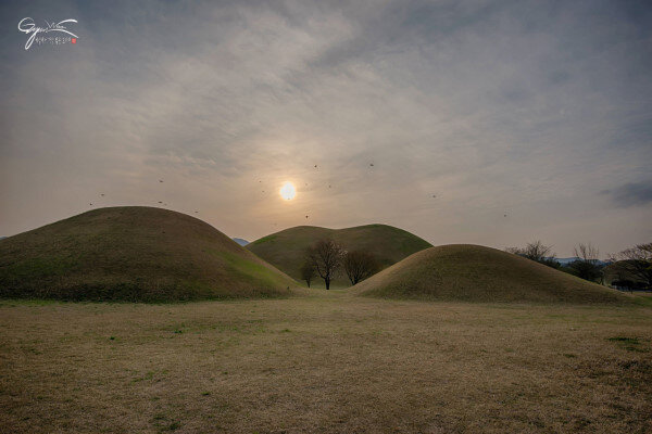 Парк Дэрынвон весной