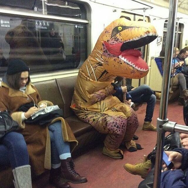 Фото из открытых источников: "Яндекс. Фото".