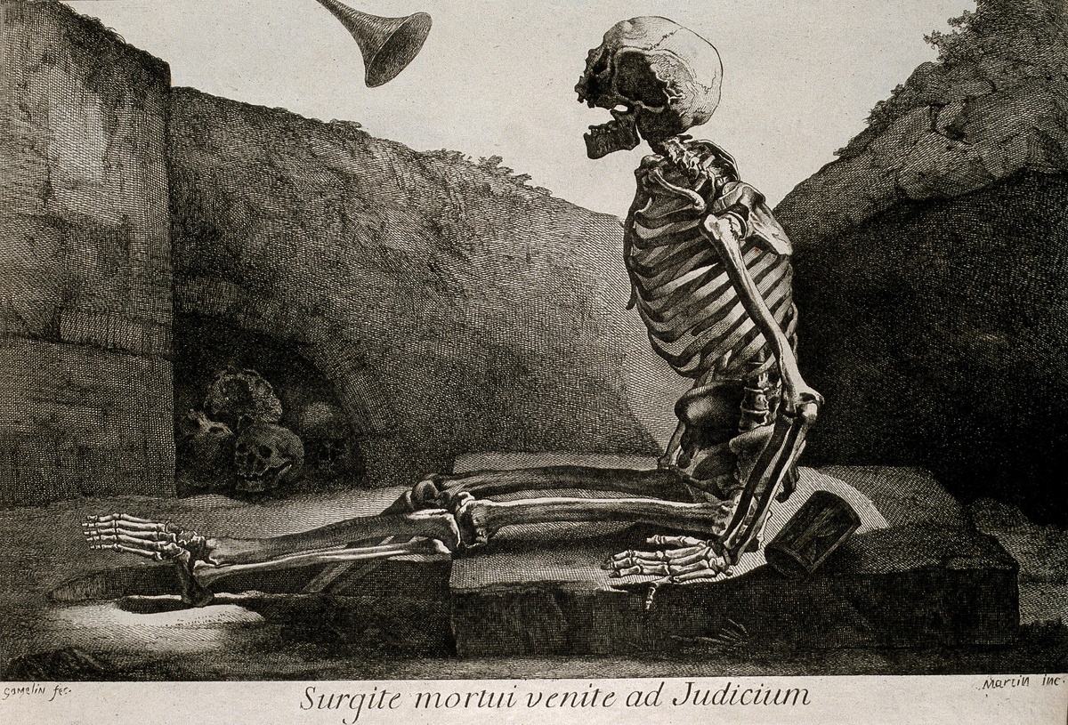 фото https://wellcomecollection.org/