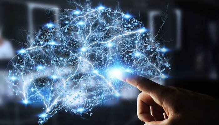 Сигналы прикосновения обрабатываются мозгом глобально, а не отдельной его частью 