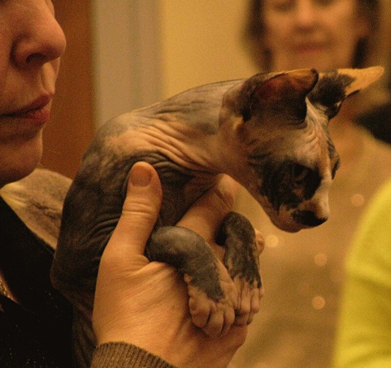 На выставке. Октябрь 2016 г.