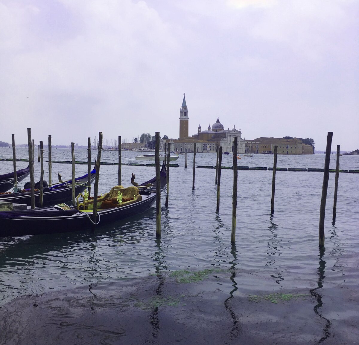 Фото: Piano Piano