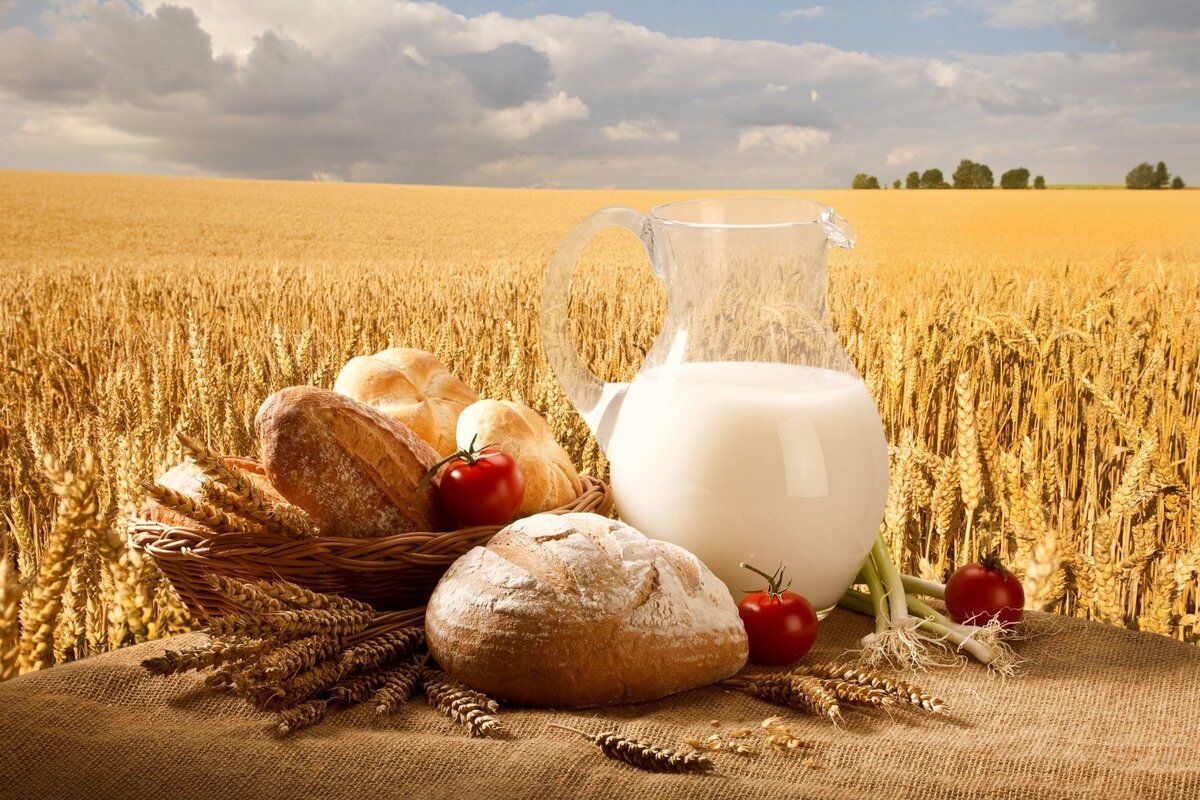 © Иллюстрация взята с сайта million-wallpapers.ru