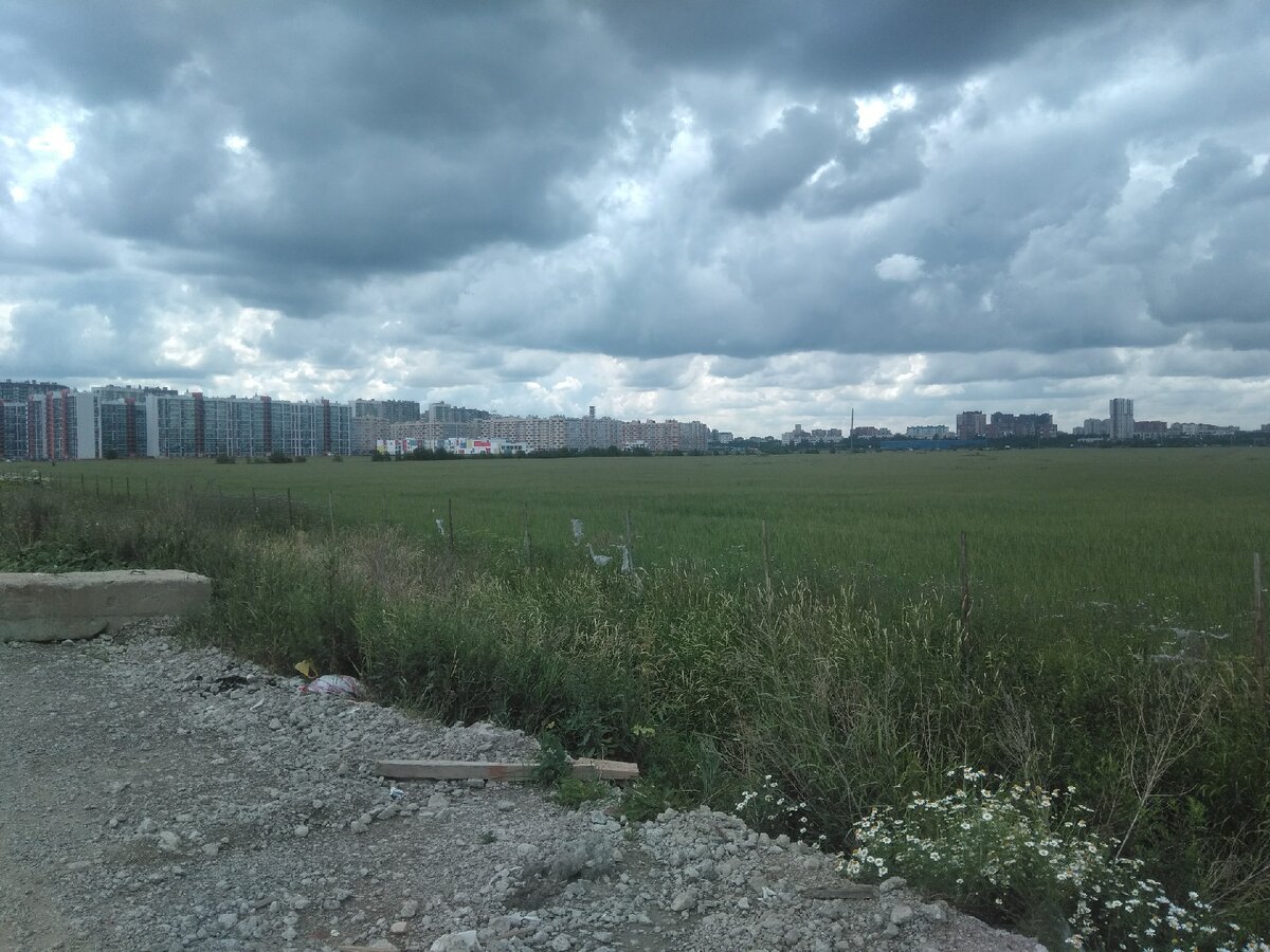 Строимся на пустыре дзен читать