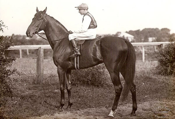 Источник фото сервис Яндекс.Картинки