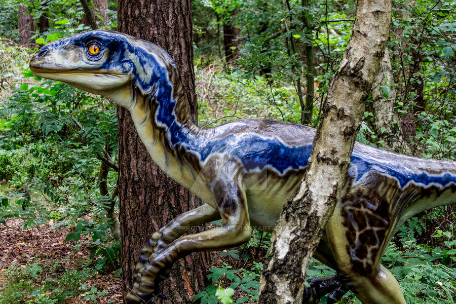 Взято из открытого источника