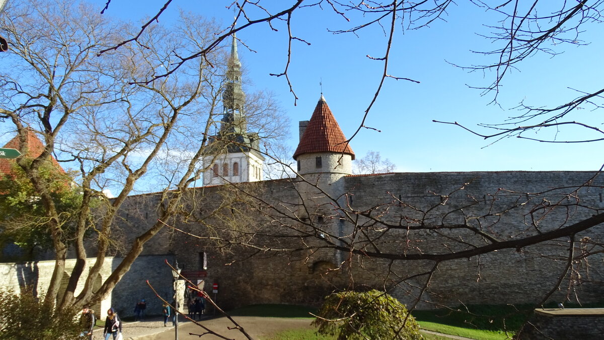 Фото автора. Таллин, 2018.