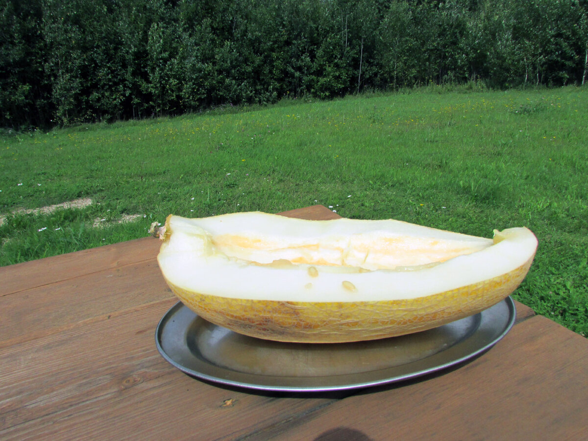 Фото Самогон Саныча