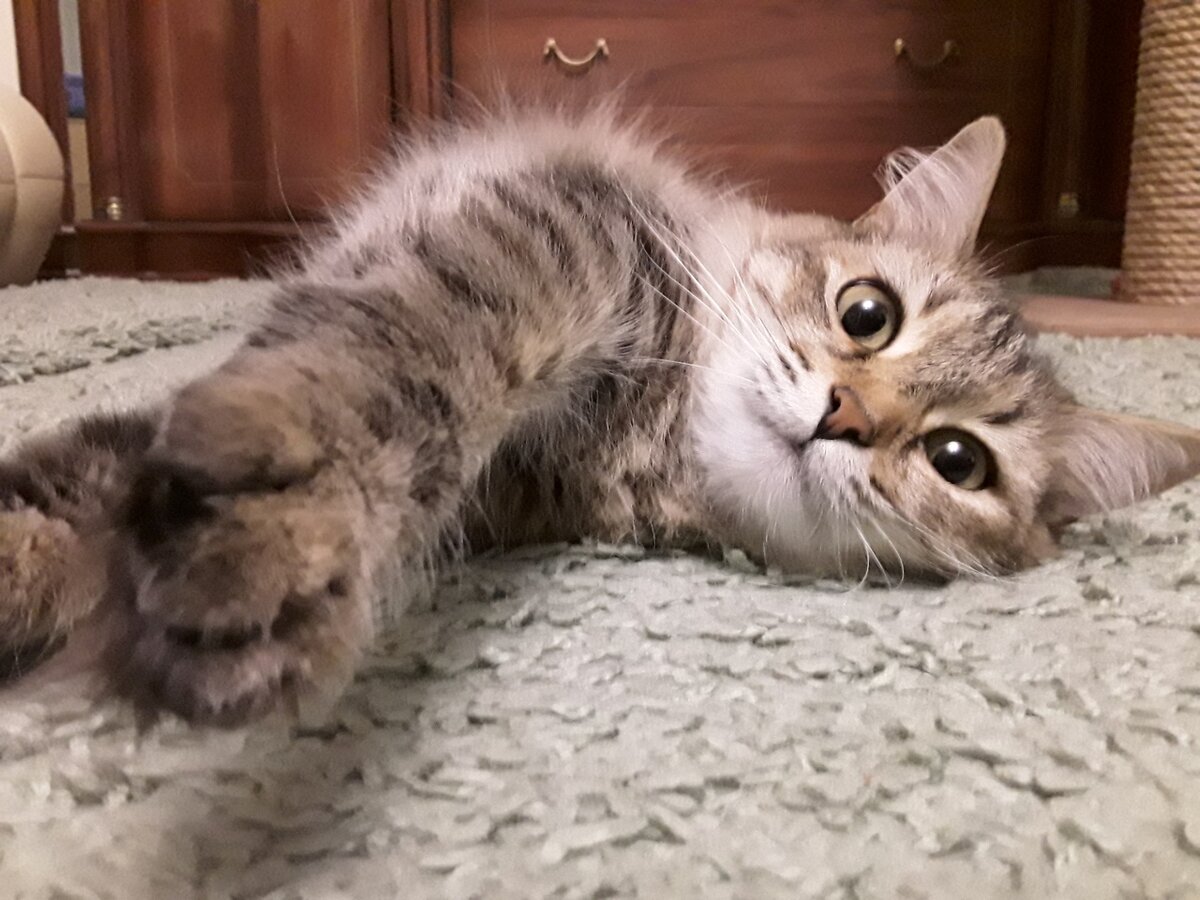 Счастье всегда рядом