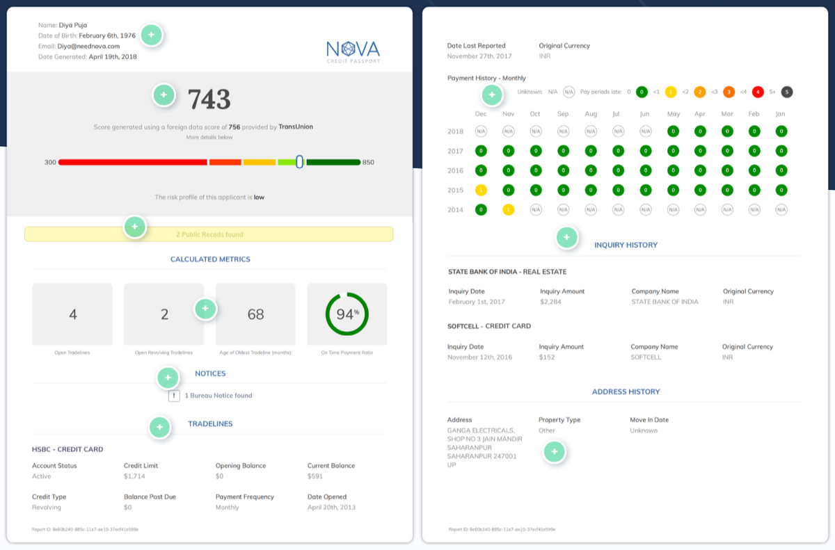 Пример отчета Nova Credit. Информация с сайта компании.