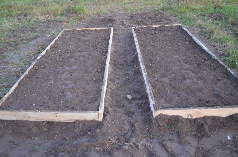 Мои высокие грядки на огороде.