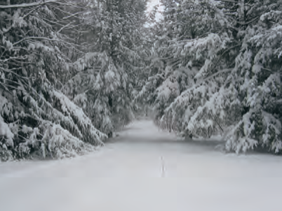 Подъездная дорога Массачусетса завалена свежим снегом в два фута высотой (больше полметра)
