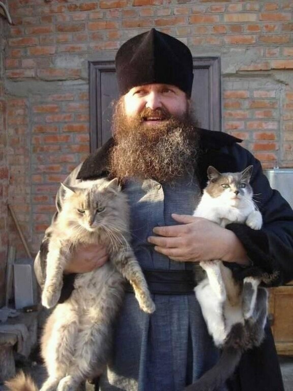 Фото из свободного источника