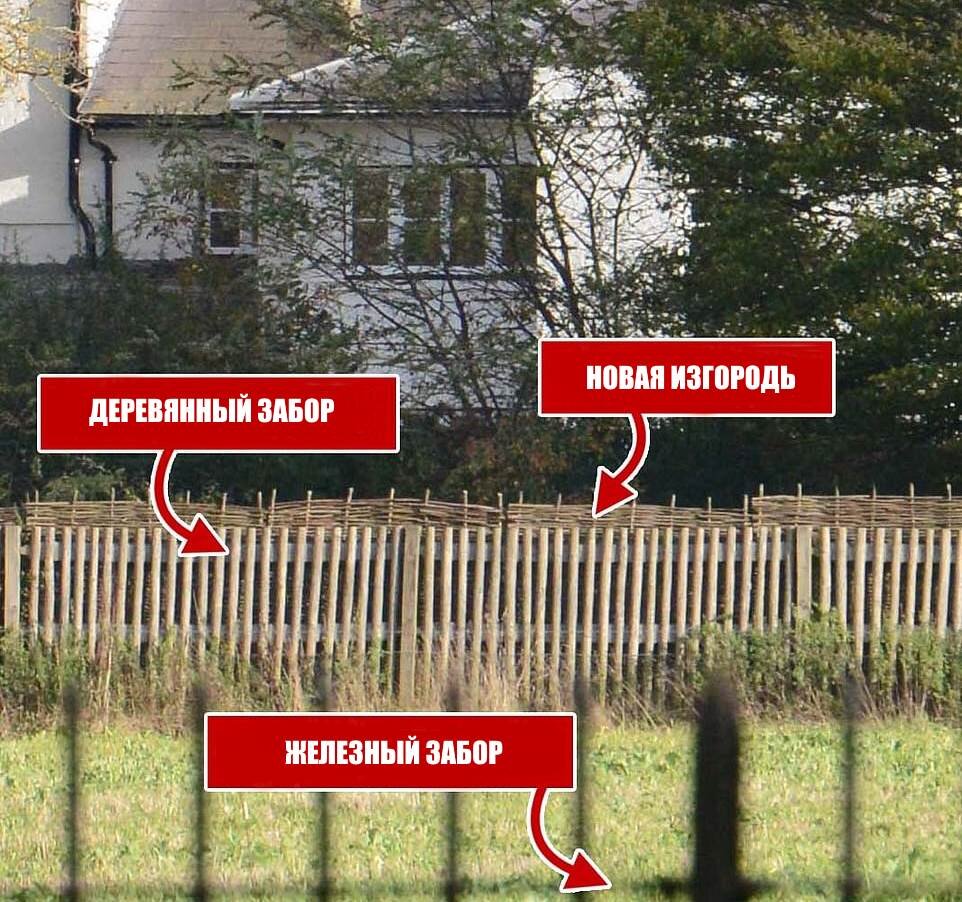 Фото: dailymail.co.uk