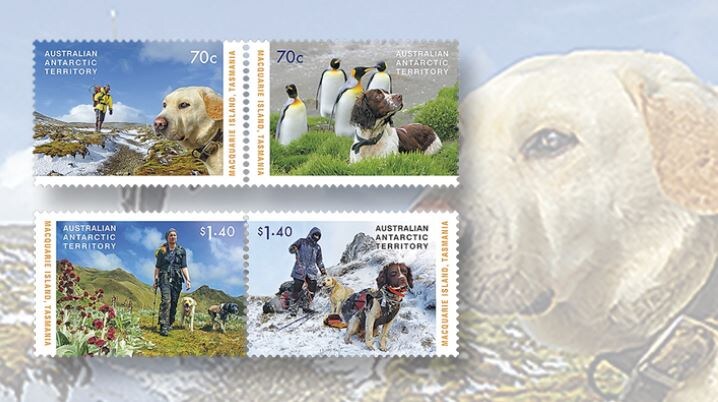 Герои Маккуори