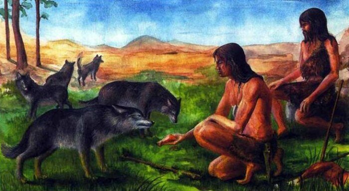 Одомашнивание волка