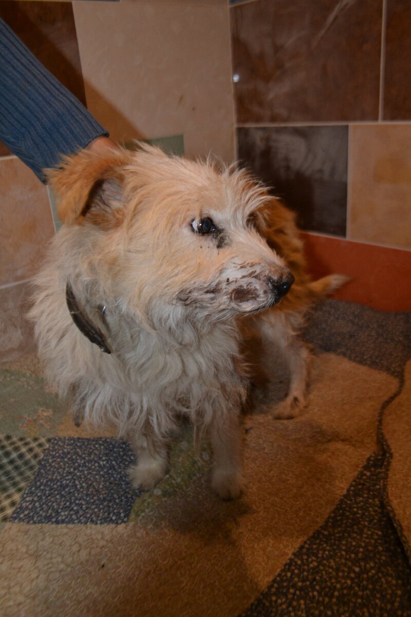 Феня только приехала