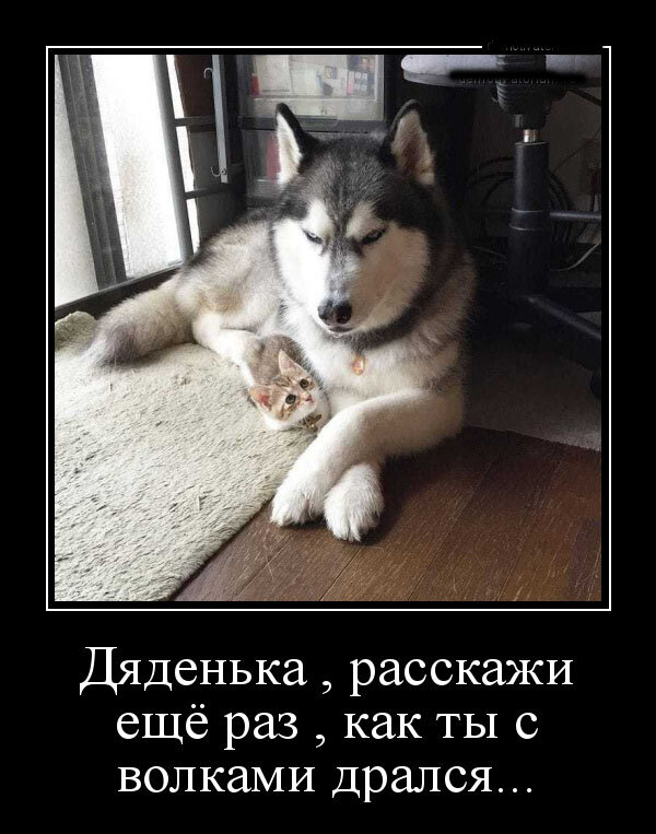 взято из открытых источников