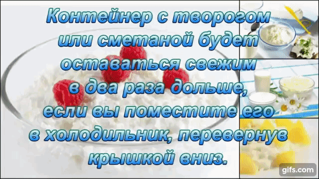Метод хранения творога в контейнере(источник фото - Яндекс.Картинки)