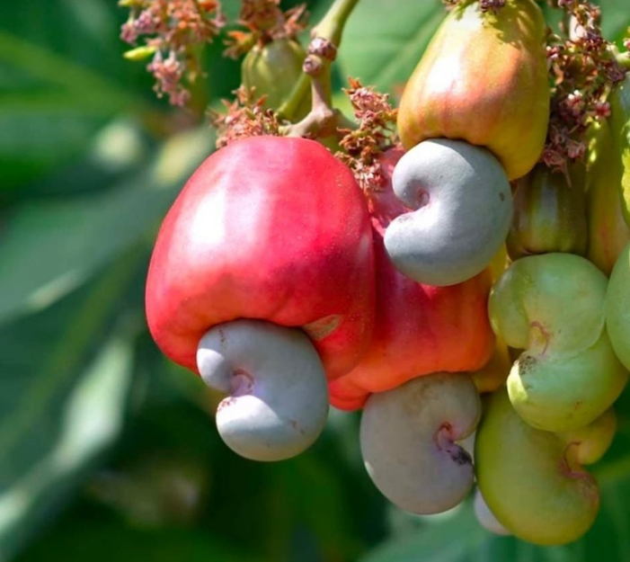 Фото из открытых источников. Их несколько, не забудьте пролистнуть. 