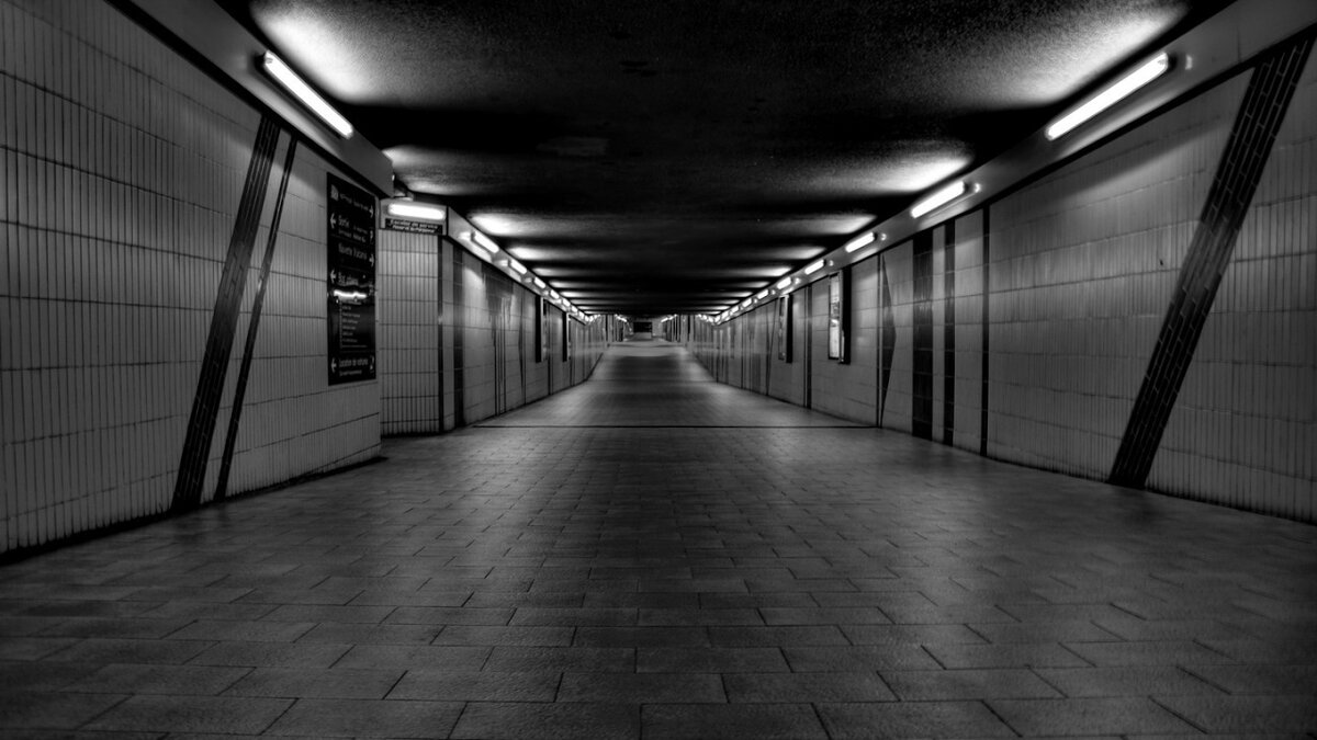 Фото из Яндекс.Картинки