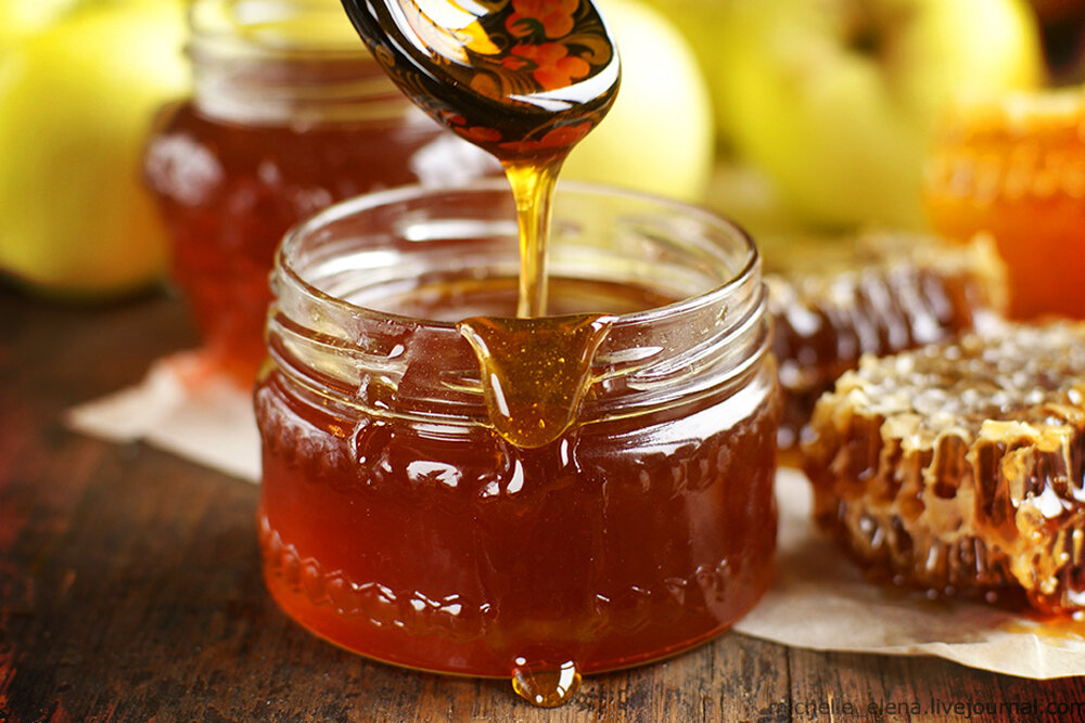 Фото из Яндекс картинок