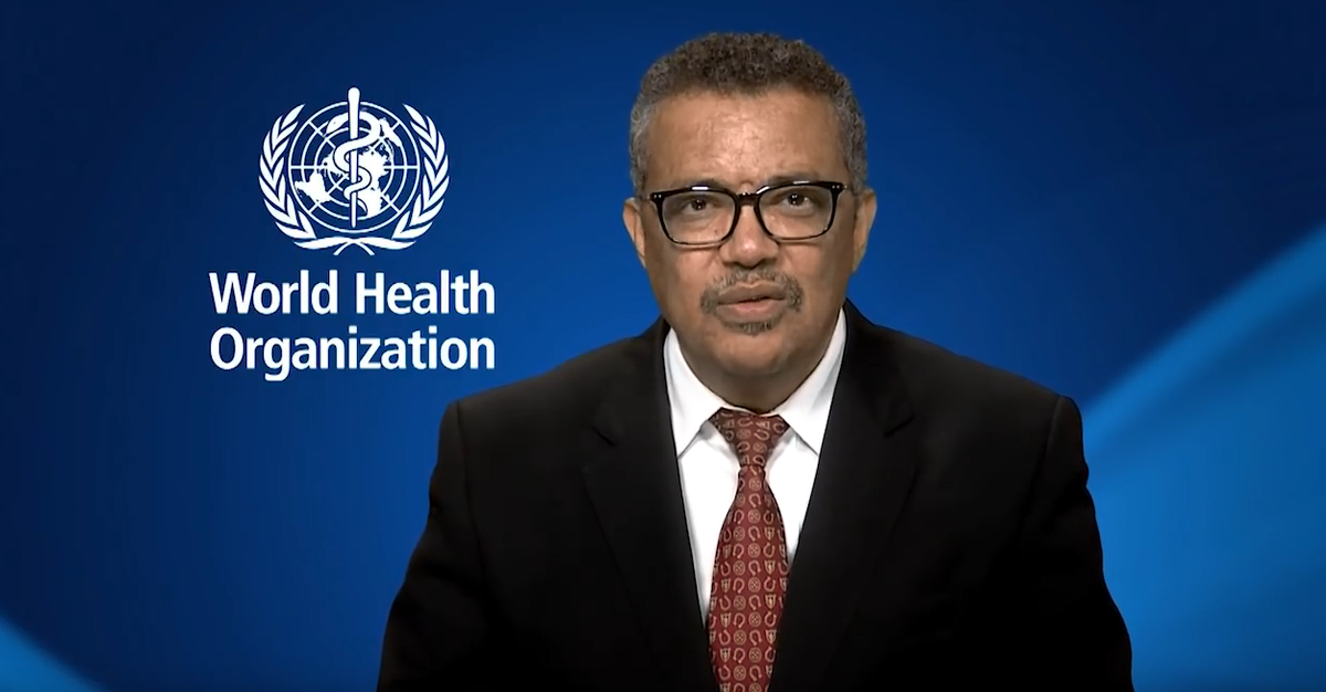 Генеральный директор ВОЗ