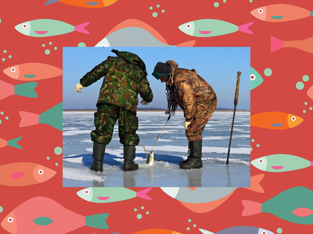 Зимой, когда лёд становится толще, а морозы сильнее, рыба клюёт очень плохо.
