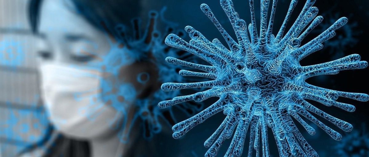 Фото - pixabay.com