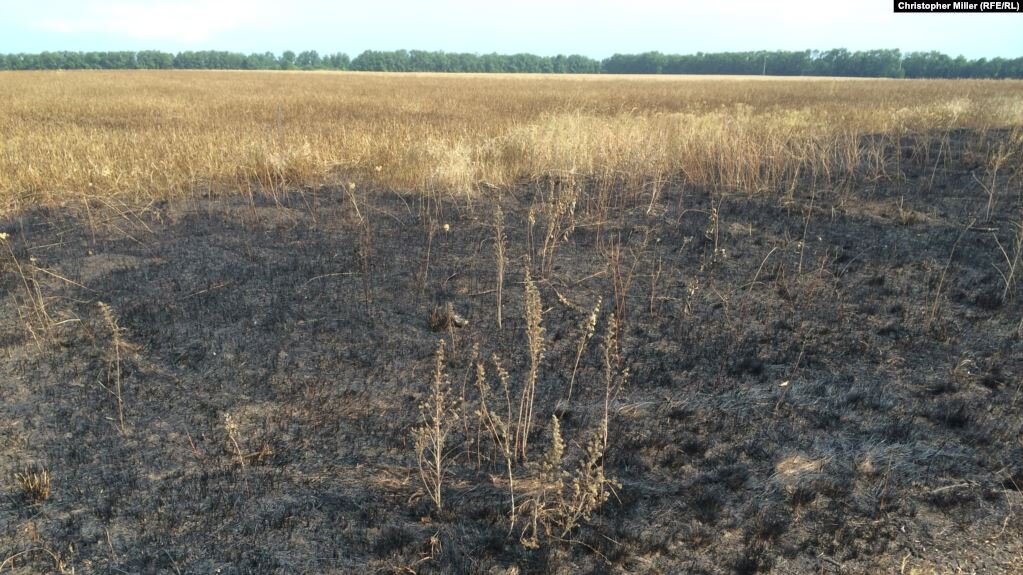 Рисунок 1. Сгоревший участок поля с бурьяном.