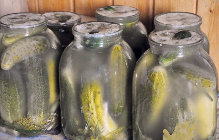 Бракованная партия! Жалко выбрасывать! Фото  с Яндекс Картинки