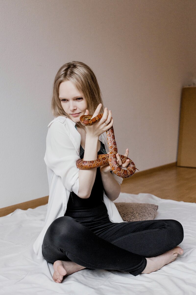 Домашняя фотосессия с любимицей. Лисный архив Lin Gaid.