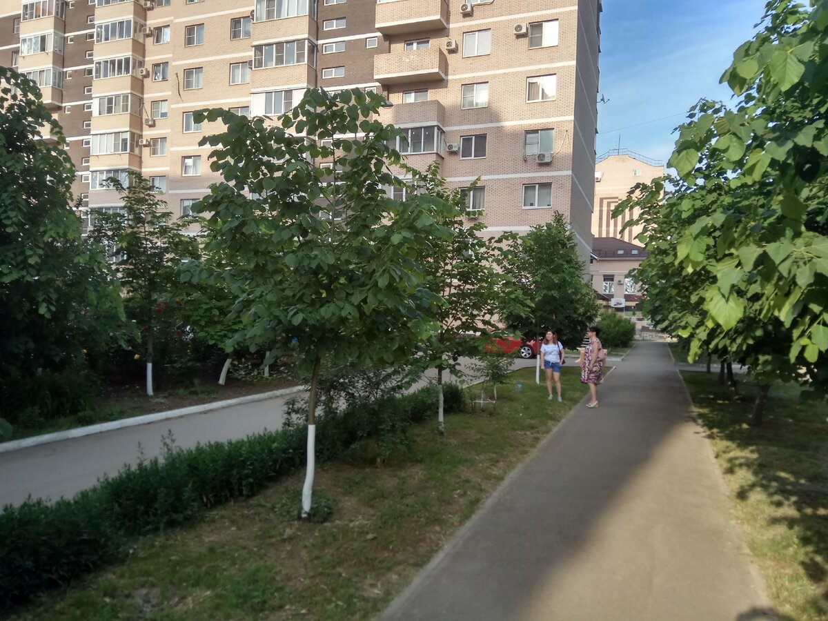 краснодар. краснодар. жить в краснодаре хорошо. стоит жить в краснодаре. краснодар как живется.