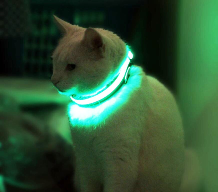 Вот так точно буду виден. Взято с сайта https://twitter.com/eat_your_money/status/867492678472261632