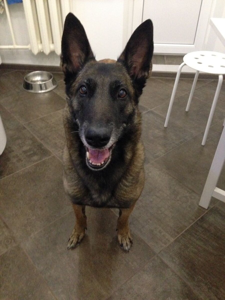 Вита, Витька...