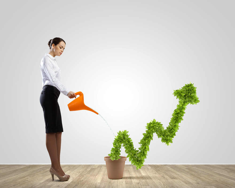 Фото взято из открытого источника сети интернет